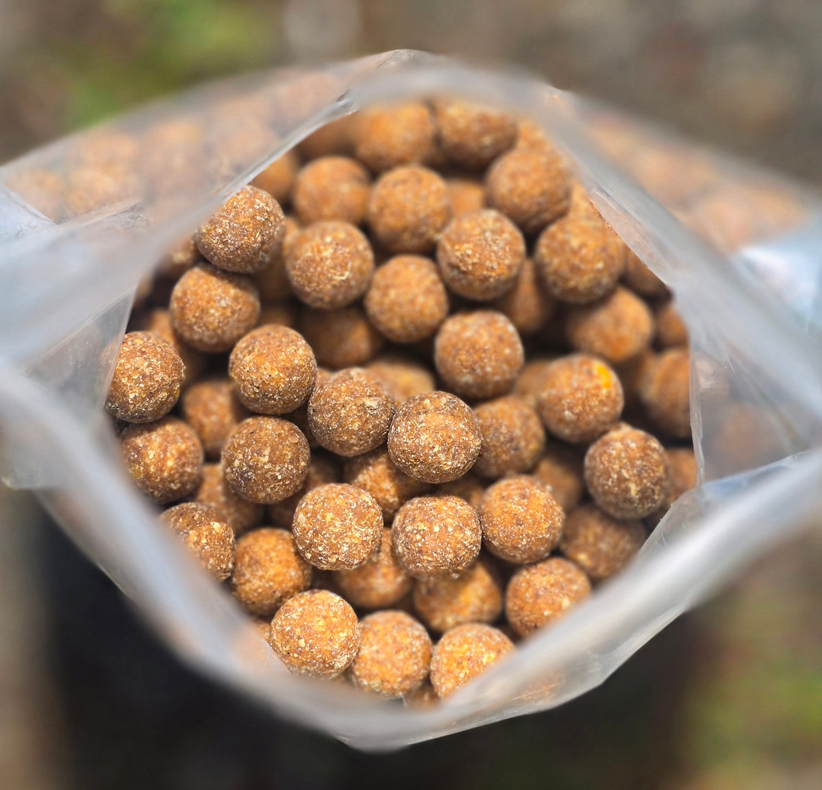 Bouillettes spice cream